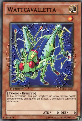 Wattcavalletta