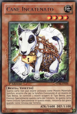 Cane Incatenato
