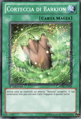 Corteccia di Barkion