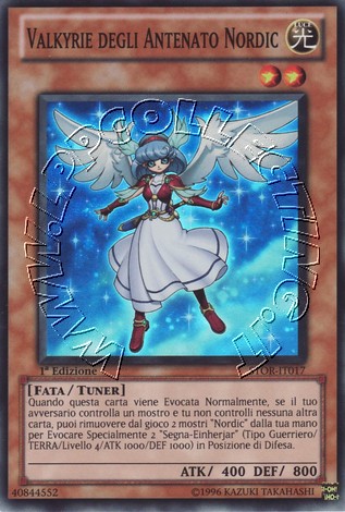 Valkyrie degli Antenati Nordic
