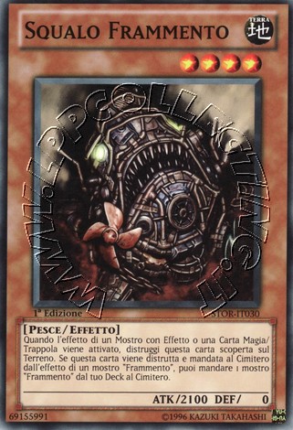 Squalo Frammento