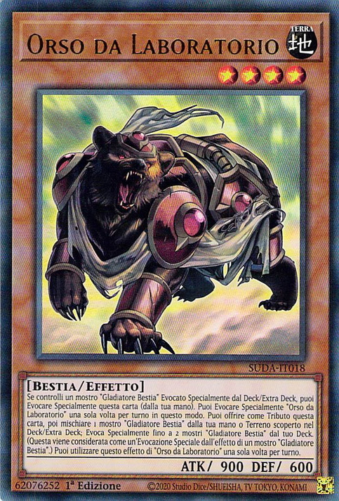 Orso da Laboratorio