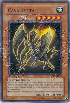 Cavalletta