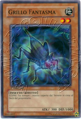 Grillo Fantasma