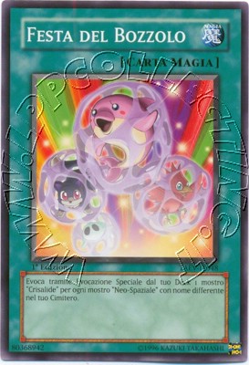 Festa del Bozzolo