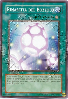 Rinascita del Bozzolo