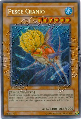 Pesce Cranio