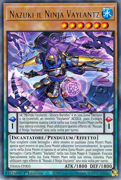 Nazuki il Ninja Vaylantz 