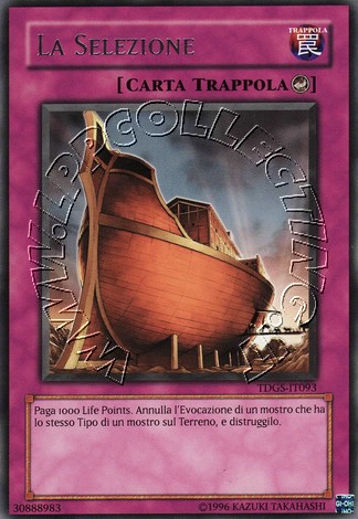 La Selezione