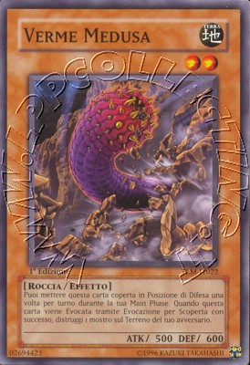 Verme Medusa