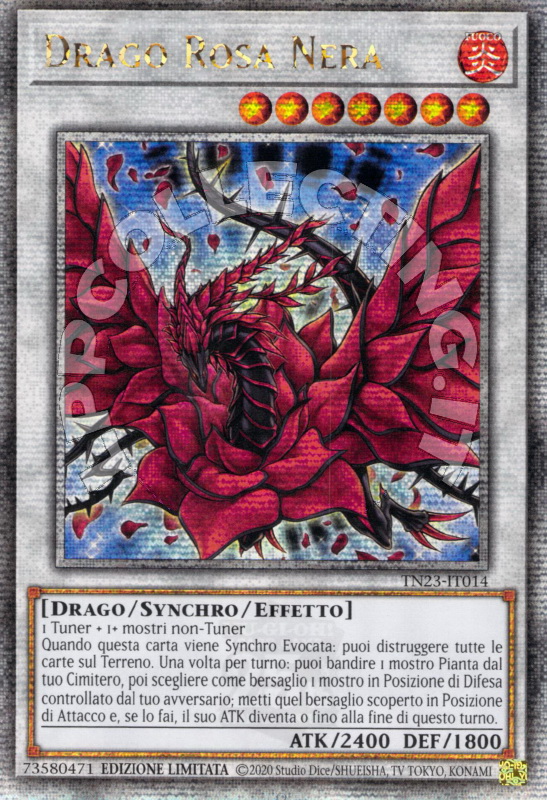 Drago Rosa Nera 