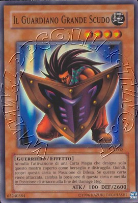 Grande Scudo Custode