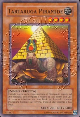 Tartaruga Piramide