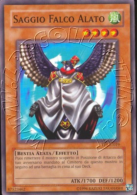Saggio Falco Alato