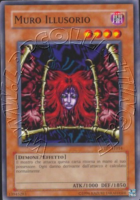 Muro Illusorio