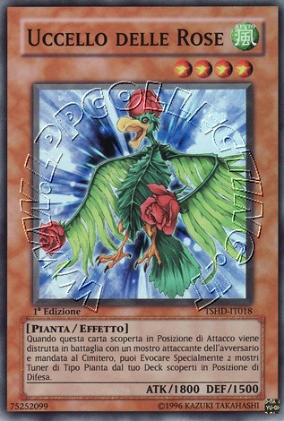 Uccello delle Rose