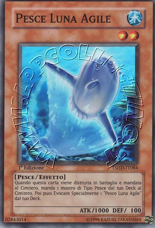 Pesce Luna Agile