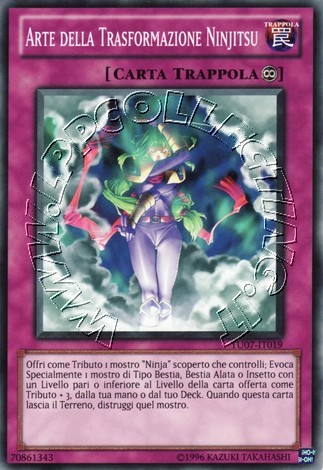 Arte della Trasformazione Ninjitsu