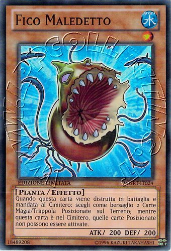 Fico Maledetto