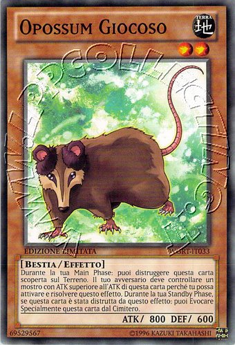 Opossum Giocoso