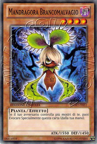 Mandragora Brancomalvagio