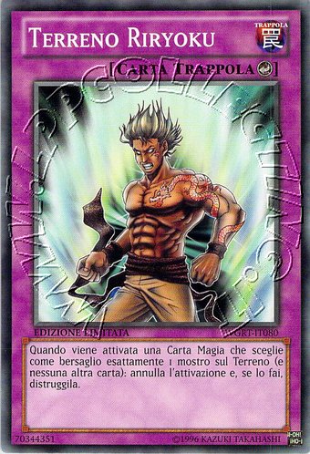 Terreno Riryoku