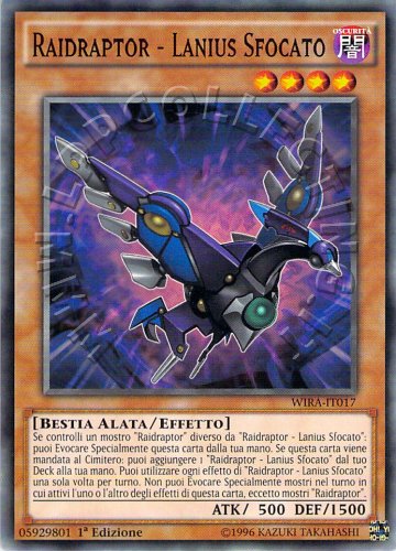 Raidraptor - Lanius Sfocato