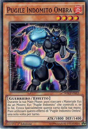 Pugile Indomito Ombra