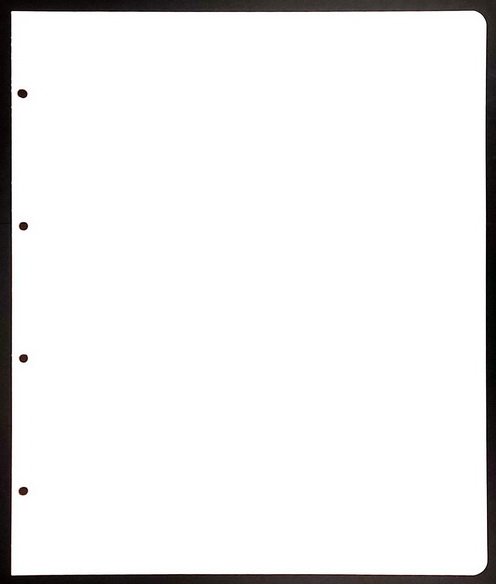 Masterphil - TOPBINDER Set 10 Divisori White in cartocino