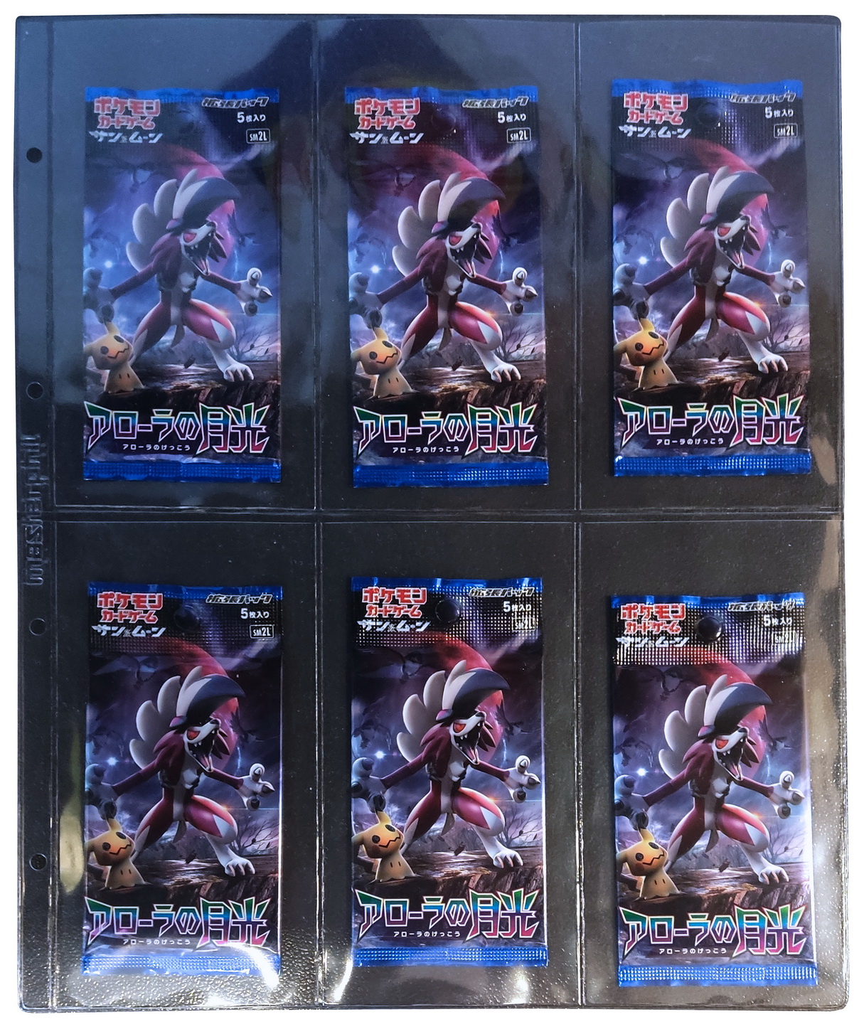Masterphil - TOPBINDER Confezione 10 fogli a 6 tasche per Bustine